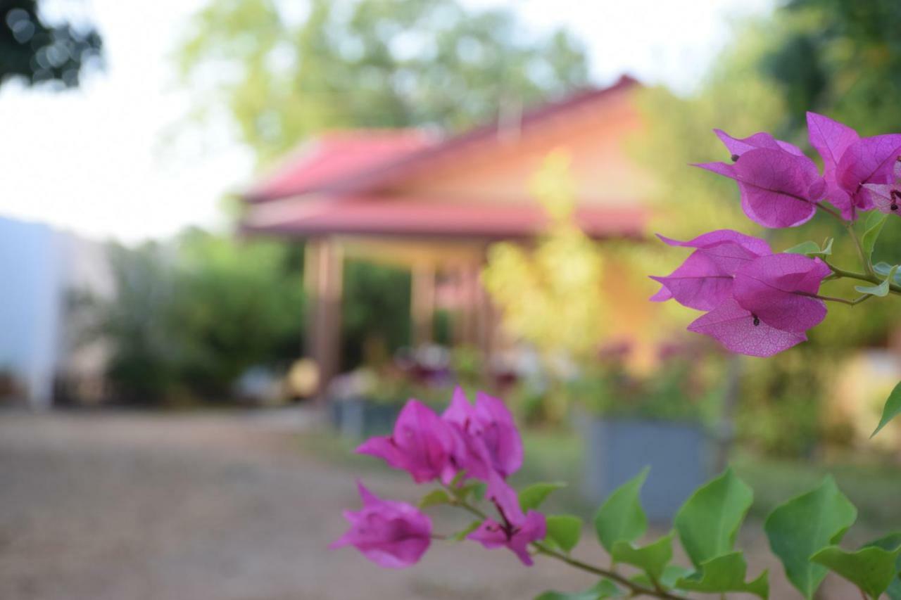 Gold Inn Dambulla Exterior foto